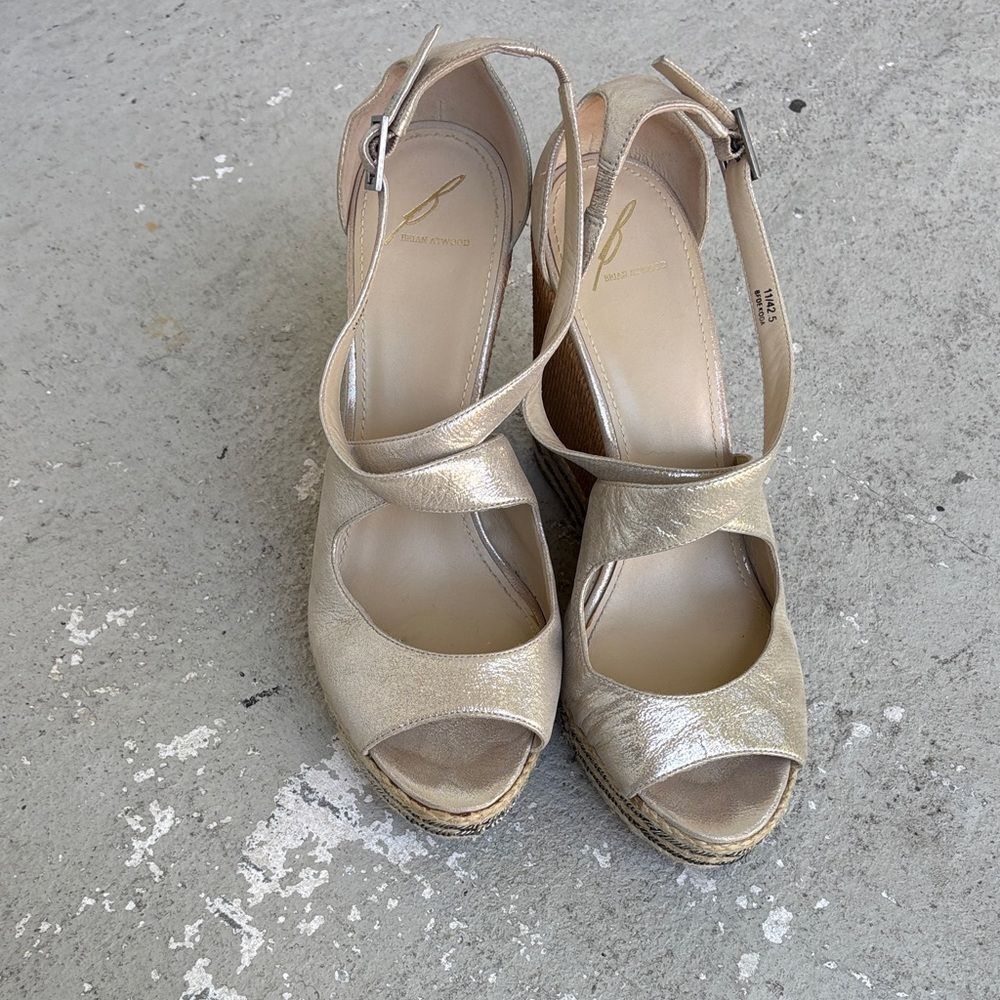 Brian Atwood Delisa platforms